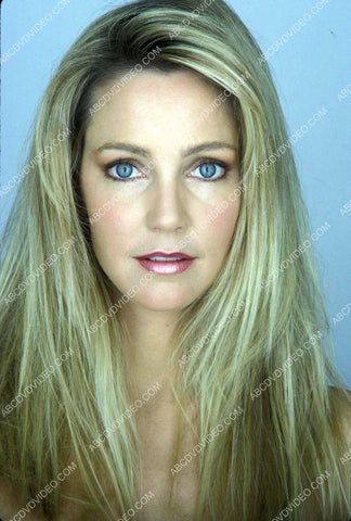 Heather Locklear portrait 8b20-17582