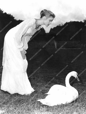 Grace Kelly film The Swan 8b20-17624