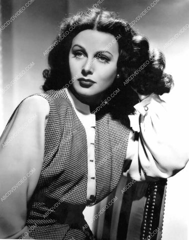 beautiful Hedy Lamarr portrait 8b20-18041