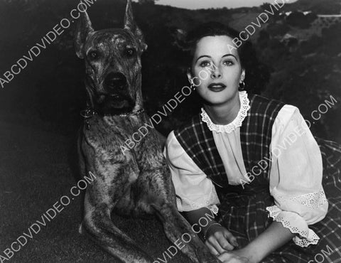 Hedy Lamarr and a great dane dog 8b20-18043