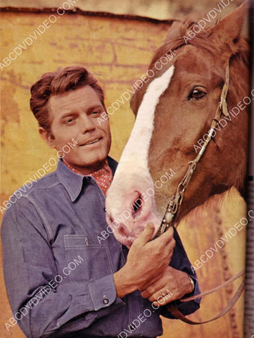 Jack Lord posing w a horse 8b20-18127