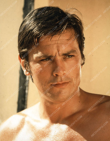 handsome Alain Delon portrait 8b20-1813