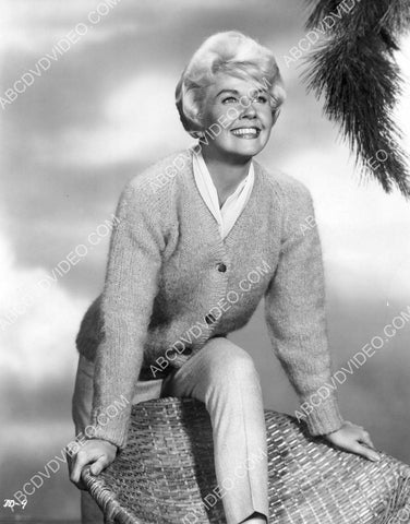 great Doris Day portrait 8b20-18182