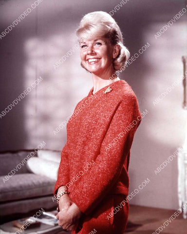 cool Doris Day portrait 8b20-18233