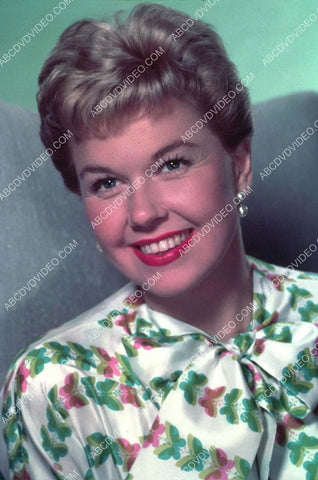 great Doris Day portrait 8b20-18238