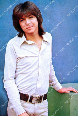 cool David Cassidy portrait 8b20-18259