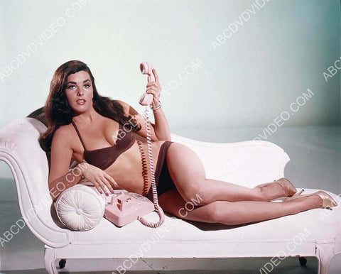 sexy Edy Williams on the lounge taking a telephone call 8b20-18267
