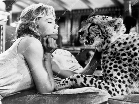 Hayley Mills and a leopard 8b20-18441