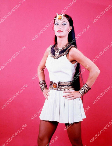 JoAnna Cameron TV Isis 8b20-18564