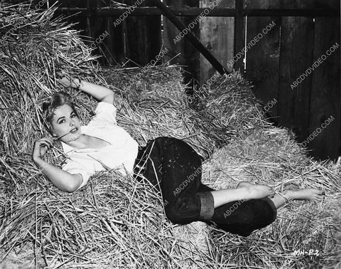 beautiful Martha Hyer laying n the hay 8b20-18803