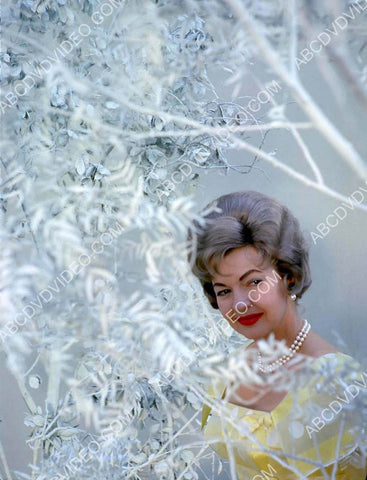 great Dale Evans wintertime portrait 8b20-18951