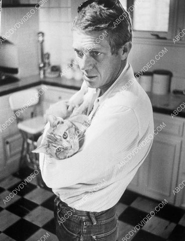 Steve McQueen w his cat 8b20-19040