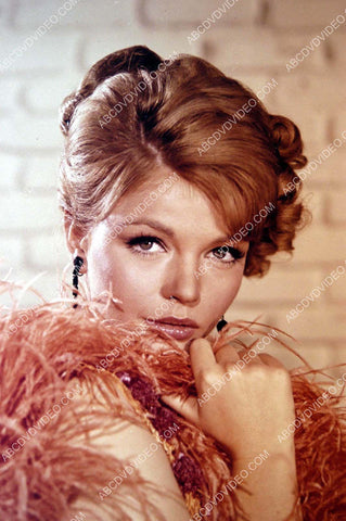 beautiful Karen Jensen portrait 8b20-19197