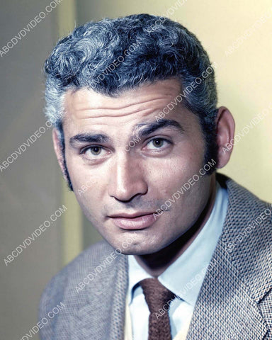 cool Jeff Chandler portrait 8b20-20240