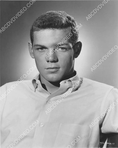 cool James MacArthur portrait 8b20-20354