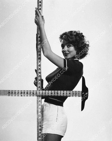 sexy pinup Joan Vohs has t-square and measuring stick for precise measurements 8b20-20376