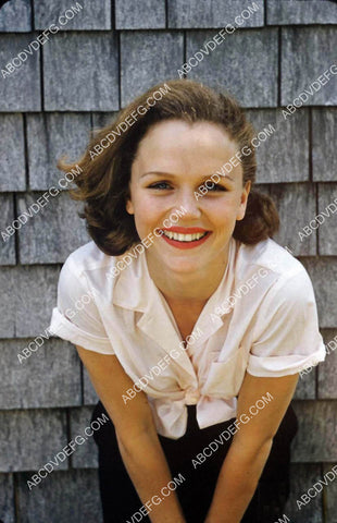 lovely Lee Remick portrait 8b20-20518