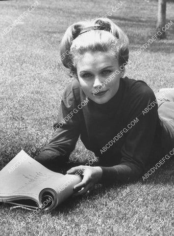 Lee Remick laying in the grass reading her script 8b20-20522