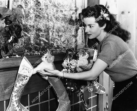 Rhonda Fleming posing w her cat in the Christmas stocking 8b20-20719