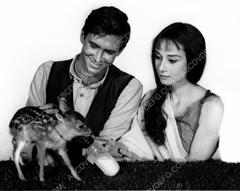 Anthony Perkins Audrey Hepburn a doe and milk bottle Green Mansions 8b20-2988