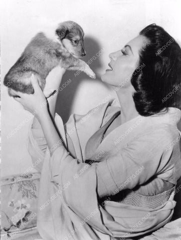 Ava Gardner and newly acquired cute little puppy dog 8b20-3089