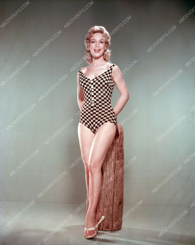 Barbara Eden sexy in checkered in swimsuit dp-3263