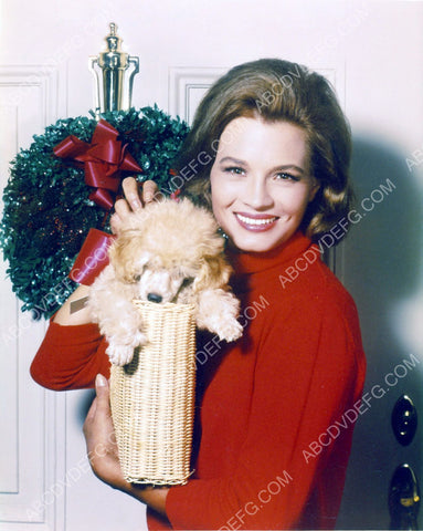 Angie Dickinson and her cute dog prepare for Christmas 8b20-3841