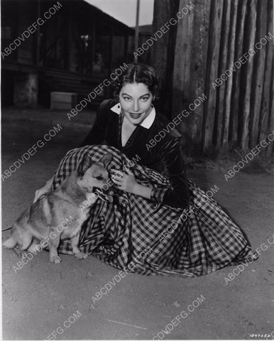candid Ava Gardner behind the scenes with her dog 8b20-3921