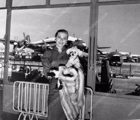 candid Anita Ekberg at the airport with her dog 8b20-4011