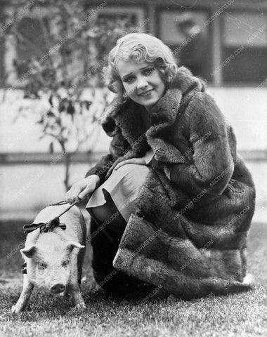 Anita Page always walks her pet pig in a fur coat 8b20-4027
