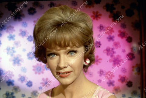lovely Anne Francis portrait 8b20-4202