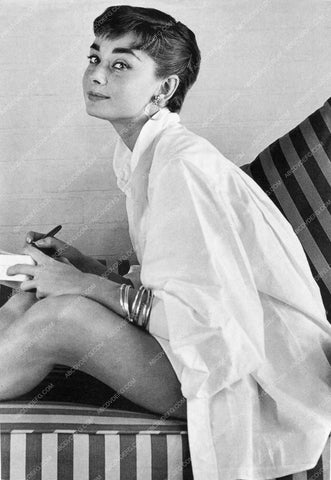 gorgeous Audrey Hepburn portrait 8b20-4539
