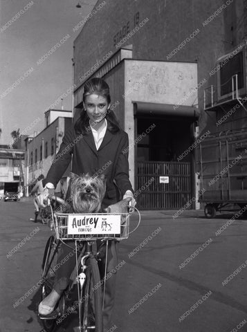 Audrey Hepburn and her dog pedal around backlot on a bicycle 8b20-4543