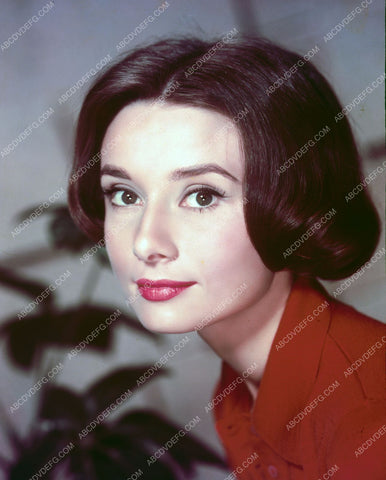 gorgeous Audrey Hepburn portrait 8b20-4560