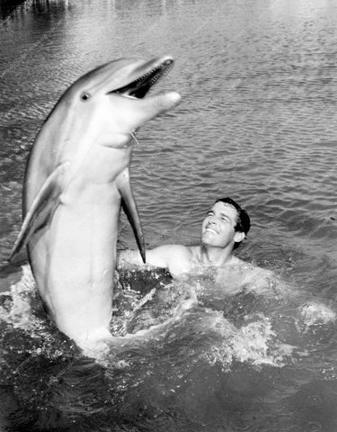 Brian Kelly plays with the dolphin TV Flipper 8b20-5195