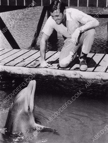 cool Brian Kelly TV show Flipper 8b20-5203