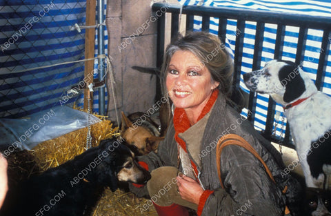 Brigitte Bardot and some of her dogs 8b20-5325