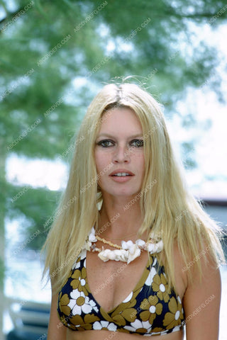 beautiful Brigitte Bardot pic 8b20-5346