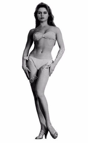 Gorgeous Brigitte Bardot in her new bikini 8b20-5364