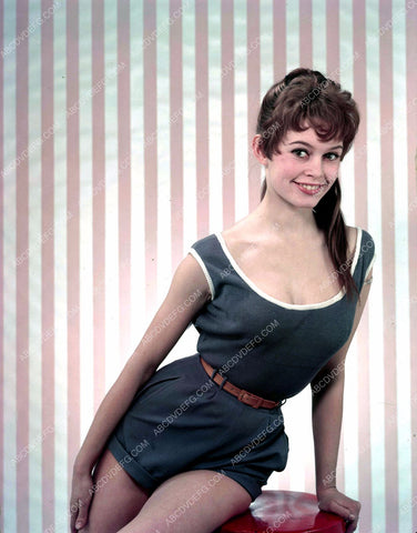 just beautiful Brigitte Bardot portrait 8b20-5403
