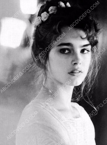 Brooke Shields portrait 8b20-5453