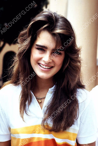 Brooke Shields portrait 8b20-5483