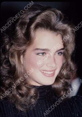 Brooke Shields portrait 8b20-5498