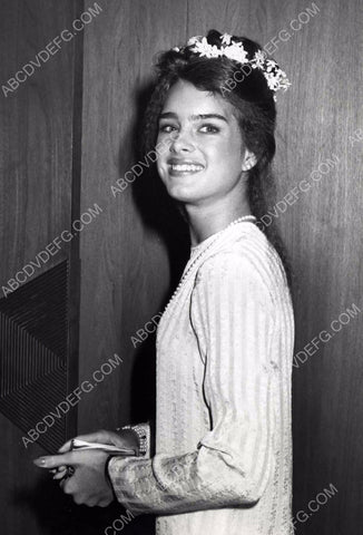 Brooke Shields portrait 8b20-5501