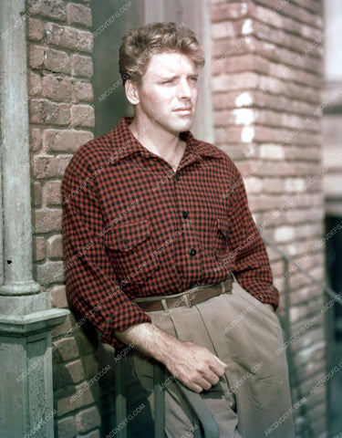 handsome Burt Lancaster pic 8b20-5546