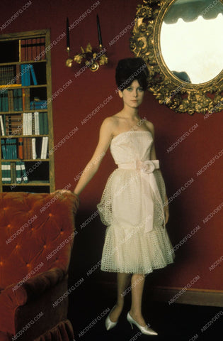 brunette Catherine Deneuve fashion portrait 8b20-6227