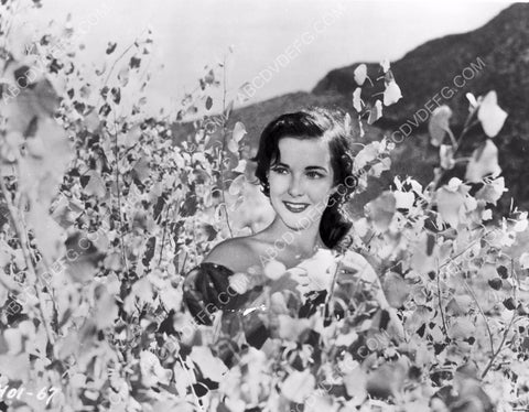 lovely Cathy Downs out in nature 8b20-6315