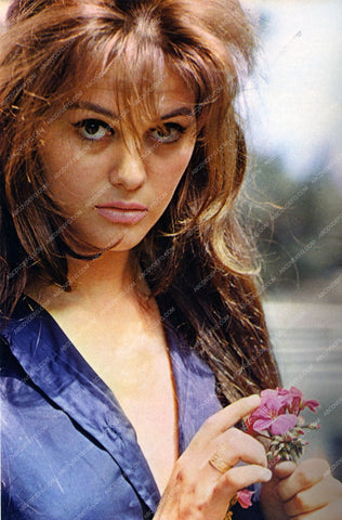gorgeous Claudia Cardinale portrait 8b20-6435