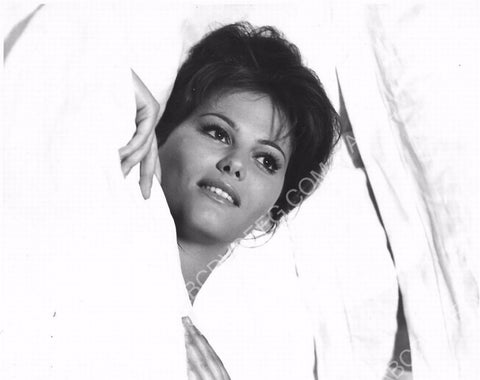 beautiful Claudia Cardinale portrait 8b20-6456