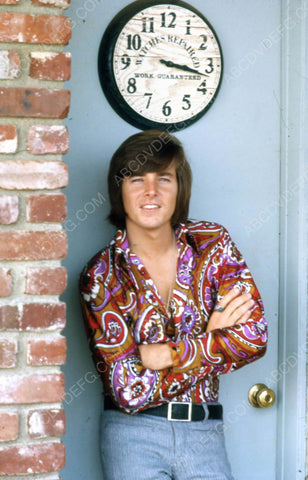 cool Bobby Sherman portrait 8b20-6515